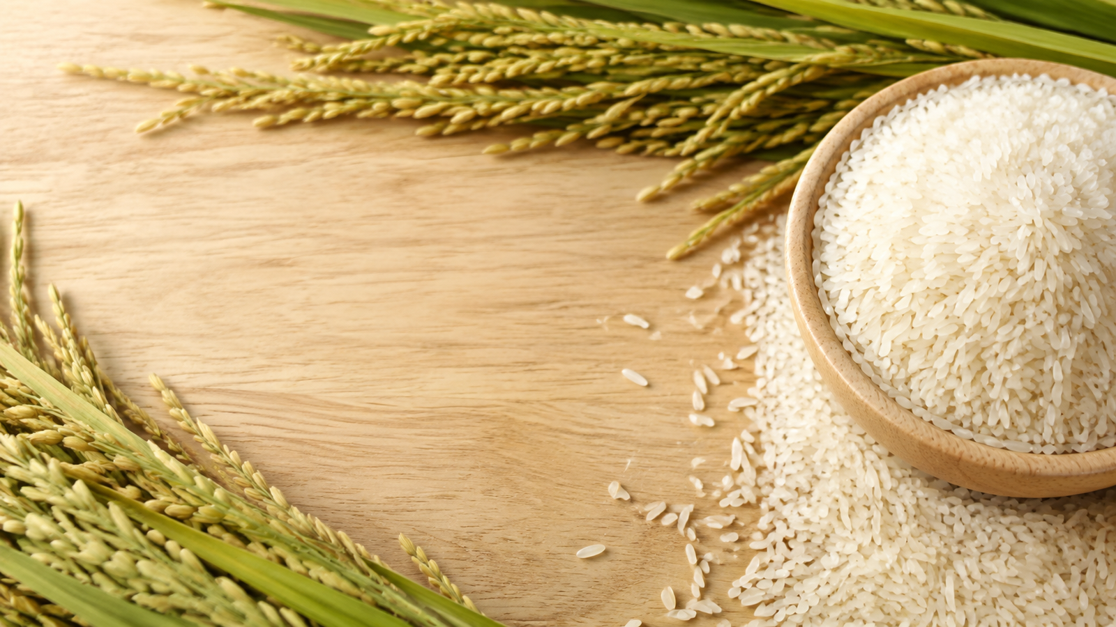 Premium Quality Agricultural Trading